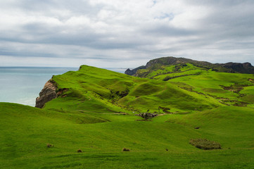 Fototapeta na wymiar Grüne Wiesen und Klippen bei Cape Farewell; Neuseeland
