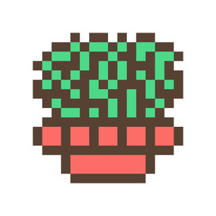 Green cactus/succulent in clay flower pot, 16x16 pixel art icon isolated on white background. Retro 80s-90s old school 8 bit slot machine/video game graphics. Houseplant logo. Office plant.