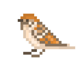 Fototapeta premium Pixel art sparrow isolated on white background. 8 bit little bird icon. Urban wildlife animal. Cute birdie character. Retro vintage 80s; 90s slot machine/video game graphics.