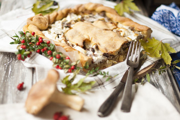 A delicious homemade pie with mushrooms and cheese. Good pastries. Top view