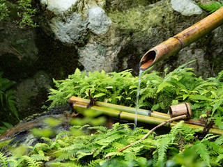 Japanese bamboo kakehi かけひ