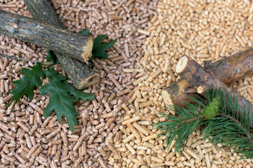 Deciduous and coniferous biomass