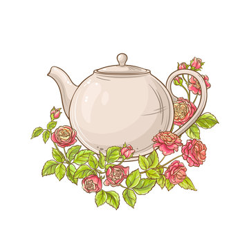 rose tea vector illustration