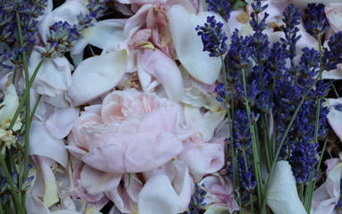 Victorian rose and lavender potpourri 