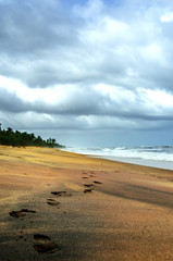 Footprints on a deserted beach in Sri Lanka. Above the stormy ocean, a gloomy cloudy sky with heavy clouds.

