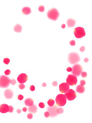 Pink rose petals falling vector valentine background.