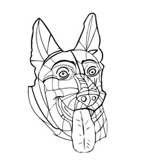German Shepherd male big head ears tongue stick out