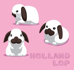 Fototapeta premium Rabbit Holland Lop Cartoon Vector Illustration