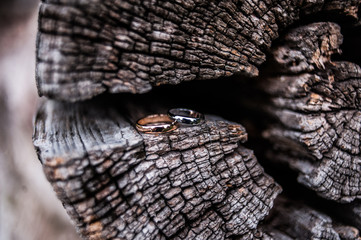 Two rings on the wood