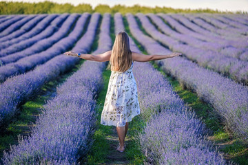 Girl walks on lavender field 7
