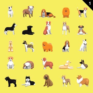 Various Dog Breeds Vector Illustration Set 1