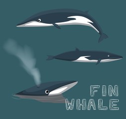 Obraz premium Ilustracja wektorowa kreskówka wieloryb fin