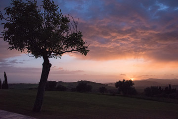 Sonnenuntergang in der Toscana mit Baum