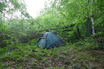 Biwak leśny w rejonie Beskidu Średniego. Polska Poludniowa. lato © Marian