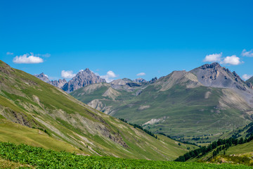 Vel de l'Ubayette - Provence-Alpes-Côte d'Azur