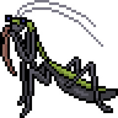 Fototapeta premium vector pixel art mantis