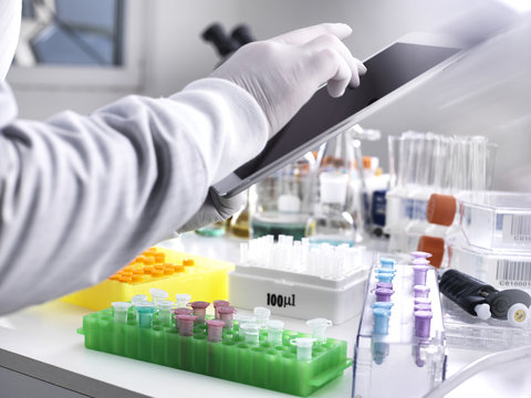 Scientist adding data online via a tablet from a experiment