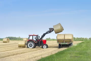 Fotobehang Harvesting of agricultural machinery. The tractor loads bales of hay on the machine after harvesting on a wheat field © dzmitrock87