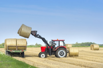 Agricultural machinery a tractor removes hay bales from the field after harvesting wheat. Harvest...