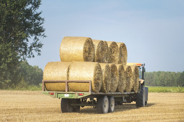 The tractor removes bales of hay from the field after harvest. Cleaning grain concepts. Completion...