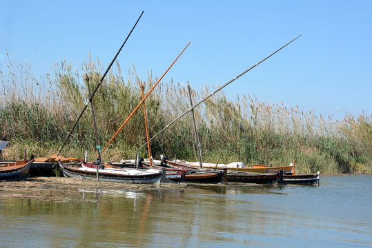 Espagne, Valence, lac et parc naturel de l'Albufera, barques, oiseaux, riziculture.