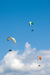 Three paragliders flying in the blue sky against the background of clouds. Paragliding in the sky on a sunny day.