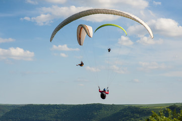Paragliding over the green field in summer sunny day. Three paragliders fly over green field near...