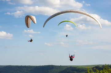 Paragliding over the green field in summer sunny day. Three paragliders fly over green field near...