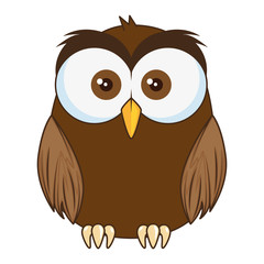 cute and adorable owl character