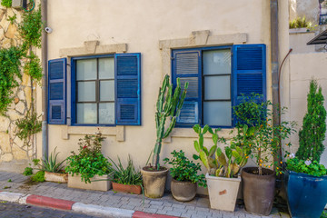 Fototapeta na wymiar Cactus in pots outdoors, Tel Aviv, Israel