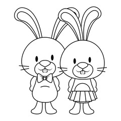 cute and adorable rabbits couple characters