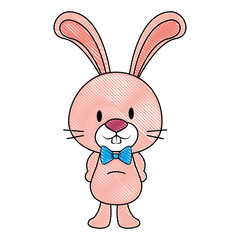 cute and adorable rabbit character