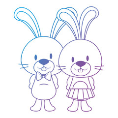 cute and adorable rabbits couple characters