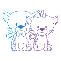 cute and adorable kitties couple characters