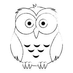 cute and adorable owl character