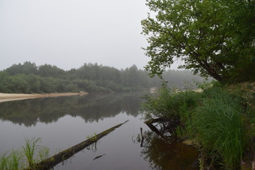 утро на реке