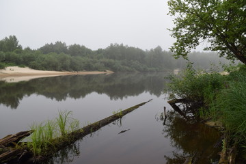 утро на реке