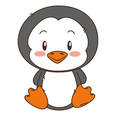 cute and adorable penguin character