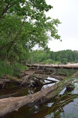 утро на реке