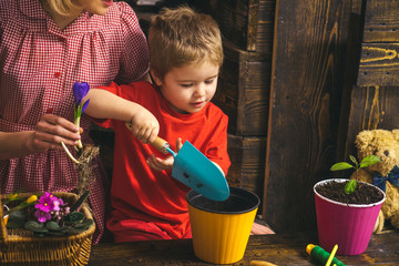 Kid concept. Kid learn planting flower in pot with soil. Little kid potting plants. Adorable kid...
