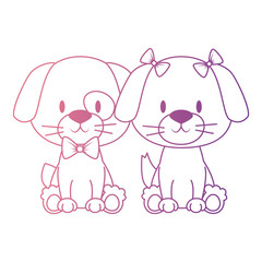 cute and adorable couple dog characters