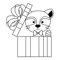 cute and adorable raccoon with gift