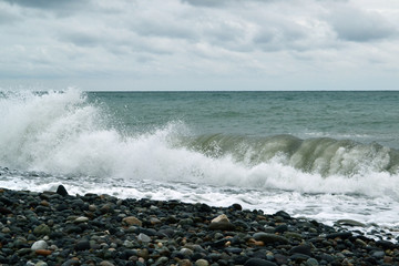 massive green wave breaks