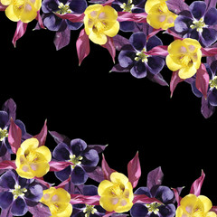 Beautiful floral background from aquilegia 
