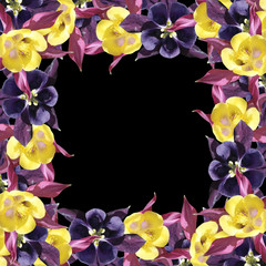Beautiful floral background from aquilegia 