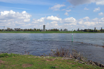 die erft fliesst in den rhein