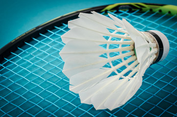 Shuttlecock and badminton racket.