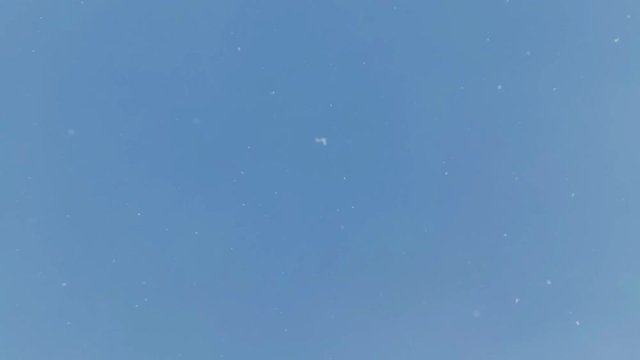 Looking at the Snow Falling from Above