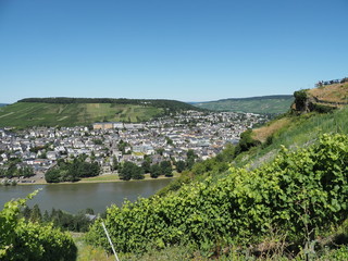 Burgruine Landshut über Bernkastel-Kues mit Blick auf die Mosel 

