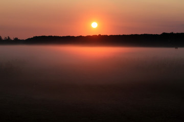 Fototapeta premium foggy meadow surrounded by woods in the dawn 2